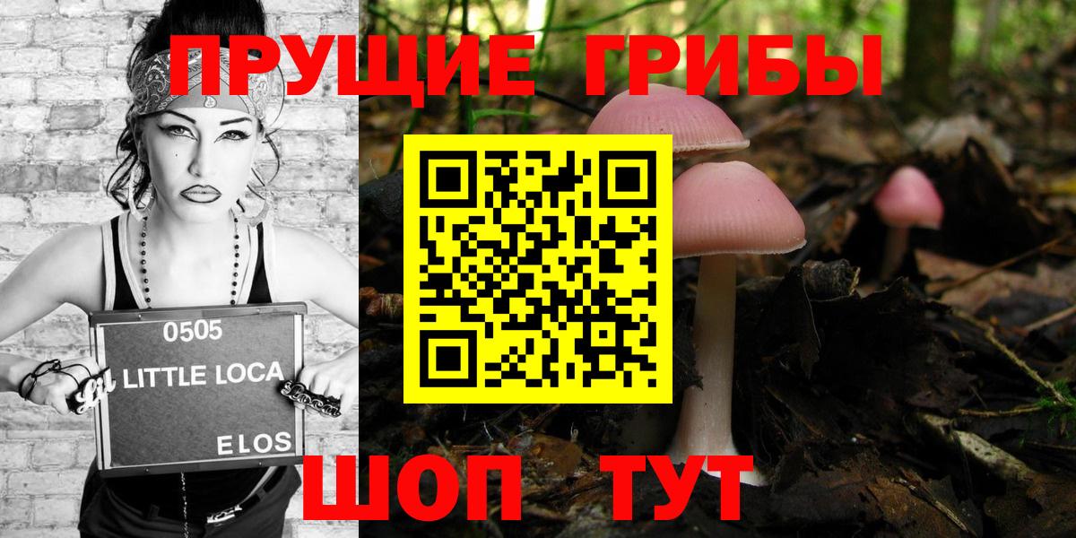 Псилоцибиновые грибы прущие грибы  Псилоцибиновые грибы Cubensis  Вход с VPN  Звенигород 